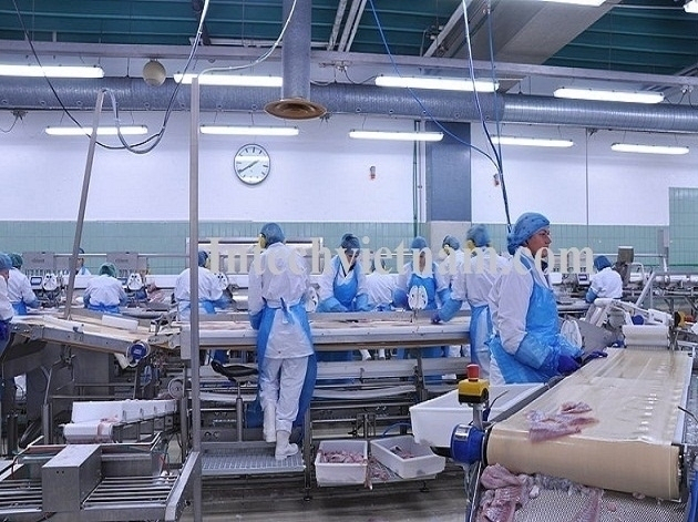 Đưa hệ thống băng tải vào các nhà máy sản xuất tại Bình Dương