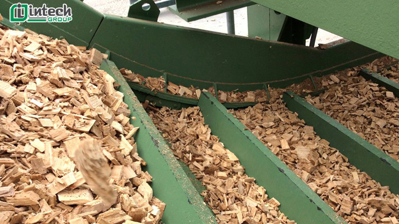 Băng tải gỗ, đặc điểm và những ứng dụng thực tế