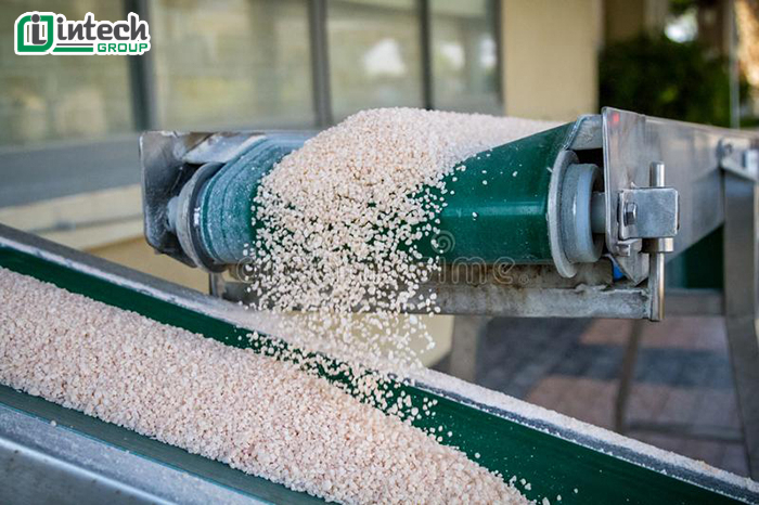 Những ưu điểm nổi bật không thể bỏ qua của băng tải lúa gạo