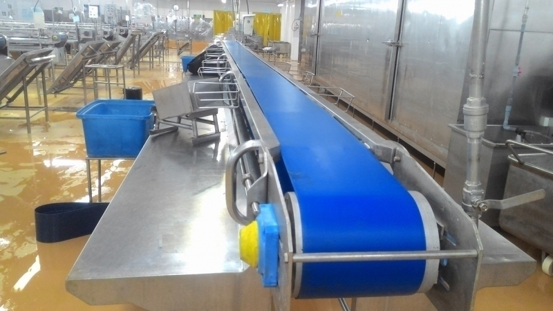 Băng tải là giải pháp vận chuyển tối ưu trong sản xuất công nghiệp tỉnh Bắc Giang