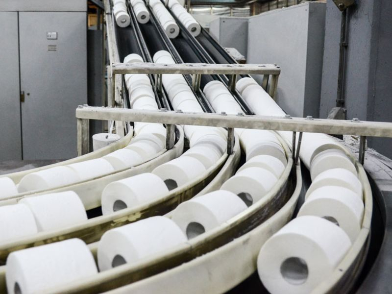 Khám phá dây chuyền sản xuất giấy vệ sinh từ A - Z