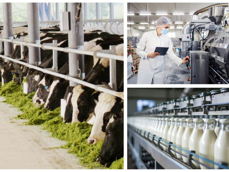 Tìm hiểu dây chuyền sản xuất sữa tổng quan