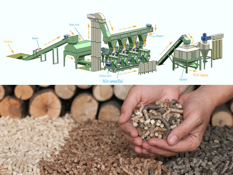 Dây chuyền sản xuất viên nén gỗ: Thiết bị và chi phí đầu tư