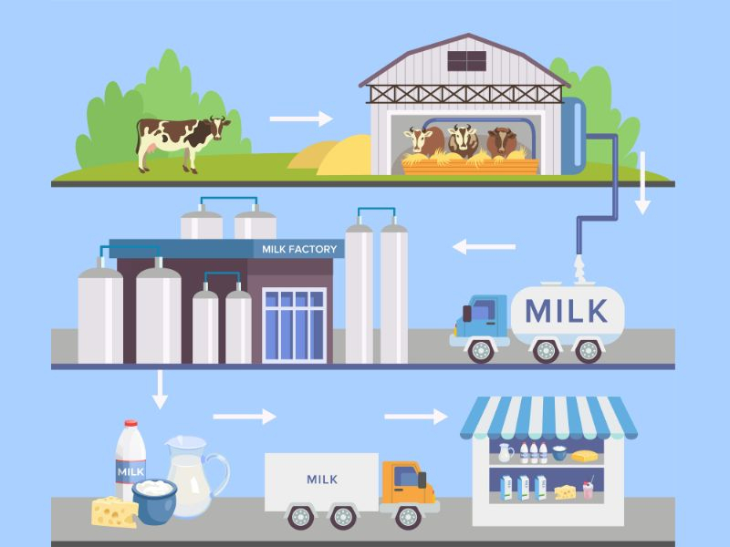 Khám phá quy trình sản xuất sữa đạt chuẩn