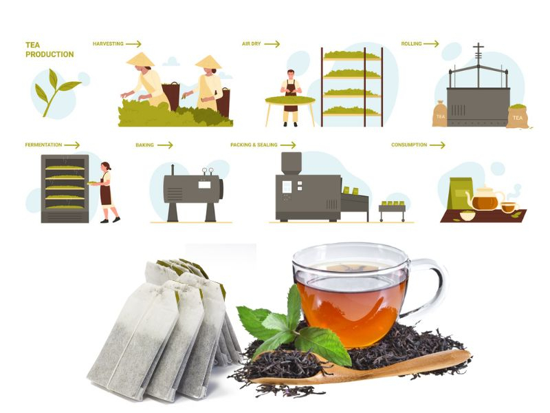 Khám phá quy trình sản xuất trà túi lọc tự động