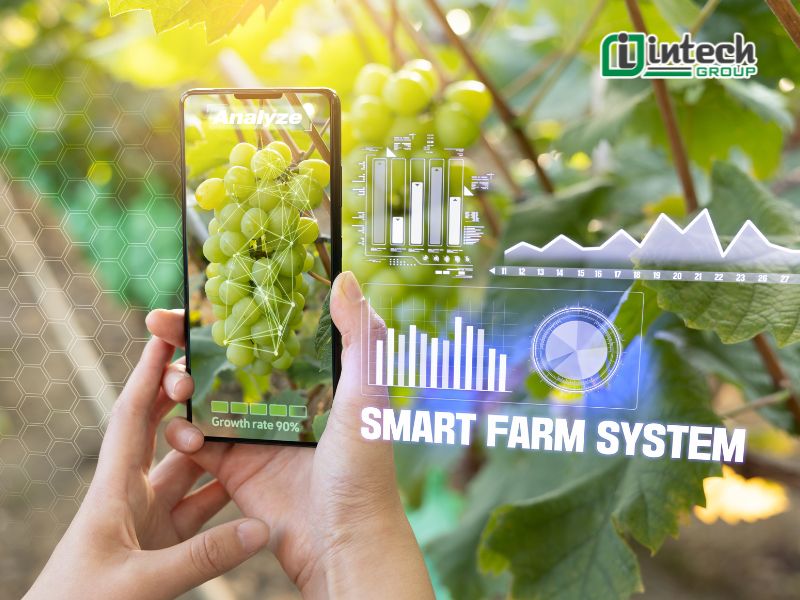 Thực trạng ứng dụng công nghệ vào sản xuất nông nghiệp tại Việt Nam