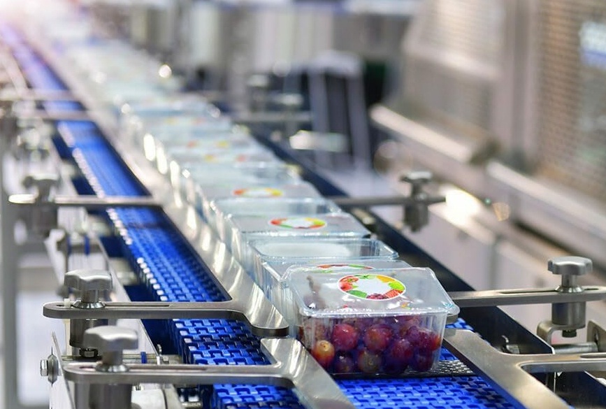 Băng tải xích cho ngành thực phẩm