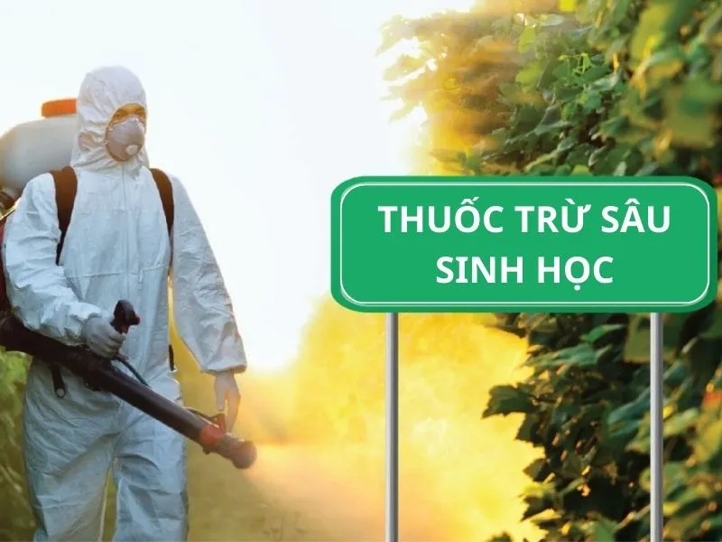 Biological pesticide production process