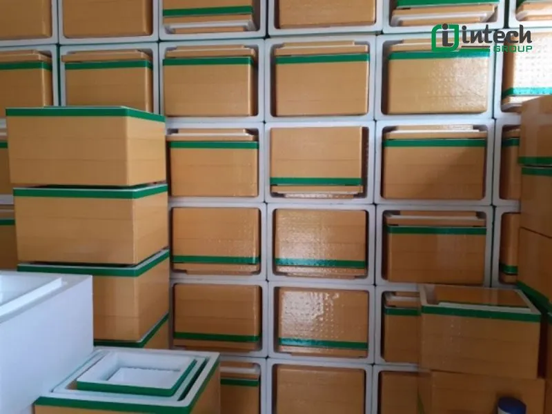 Foam box production line details