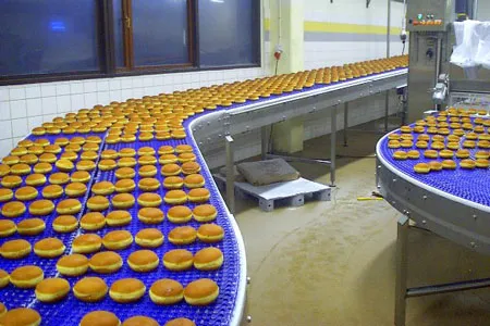 Food conveyor system