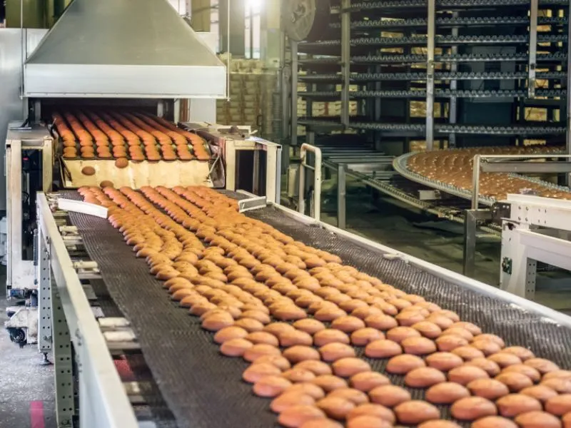 Food production line