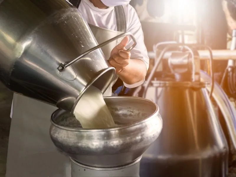Optimizing the sterilized milk production process with modern production lines