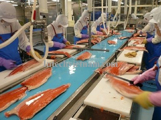 Conveyor belt for seafood processing