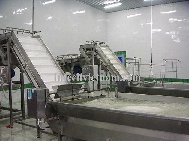 Conveyor belt for seafood processing