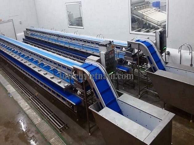 Conveyor belt for seafood processing